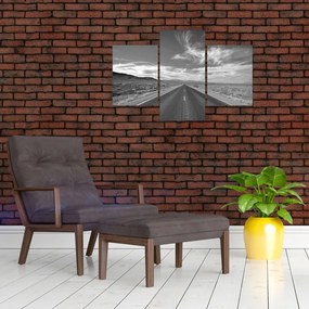Tabloul cu autostrada (90x60 cm)