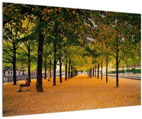 Tablou cu alee cu copaci în toamnă (90x60 cm)