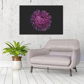 Tablou cu floare violetă (90x60 cm)