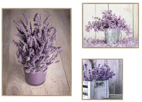 Tablouri 3 buc. 40x50 cm Purple Flowers – knor