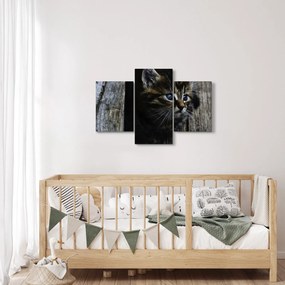 Tablou cu pisicuța (90x60 cm)