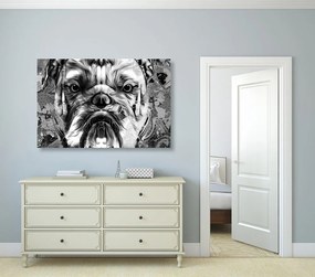 Tablou buldog în design alb-negru