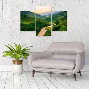 Tablou - Terase de orez II. (90x60 cm)