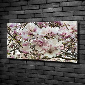 Tablouri tipărite pe pânză Flori magnolia