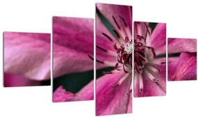 Tablou cu floarea roz de clematis (125x70 cm), în 40 de alte dimensiuni noi