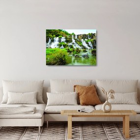 Tablou pe sticlă - cascade cu plante (70x50 cm)