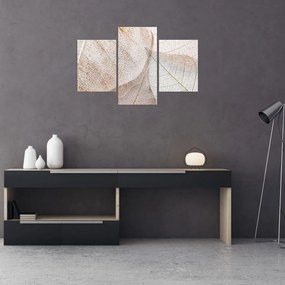 Tablou - Frunze bej (90x60 cm)