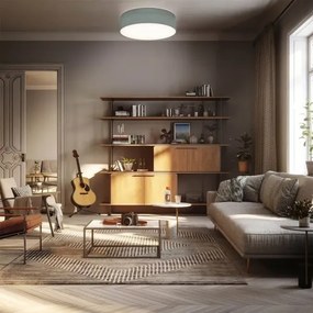 Plafonieră 2xE27/40W/230V, Ø 38 cm, gri