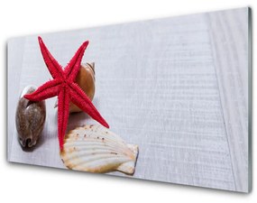 Tablouri acrilice Starfish Shell Art Roșu Bej Maro Gri