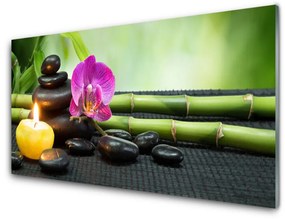 Tablouri acrilice Bamboo flori Stones Lumânare Arta Verde Roz Negru Galben