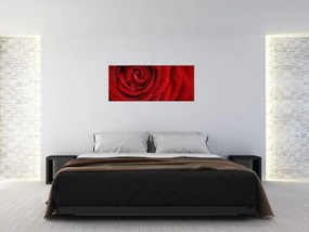 Tablou - detaliu de trandafir (120x50 cm)