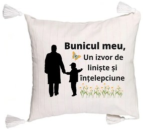 Perna Decorativa cu Franjuri pentru Bunicul 6, 45x45 cm, Cu fermoar