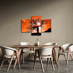Tablou - Fag la apus de soare (90x60 cm)