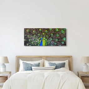 Tablou - Păun (120x50 cm)