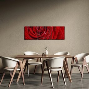 Tablou - detaliu de trandafir (cu ceas) (90x30 cm)