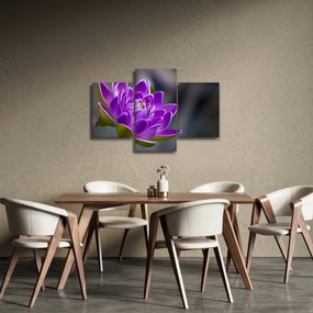 Tablou floarei (90x60 cm)