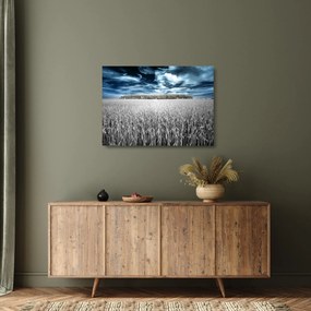 Tablou pe sticlă cu câmp (70x50 cm)