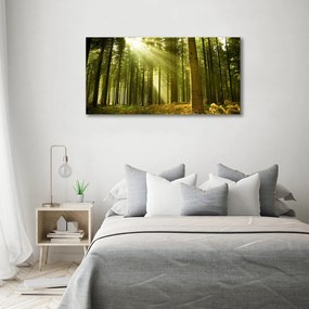 Print pe canvas O pădure de pini
