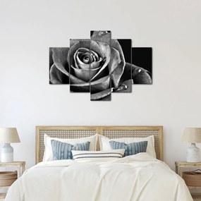 Tablou - Trandafir,alb-negru (150x105 cm)