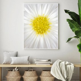 Poster - Floare (A4)