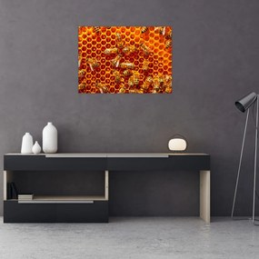 Tablou pe sticlă - Fagure de miere (70x50 cm)