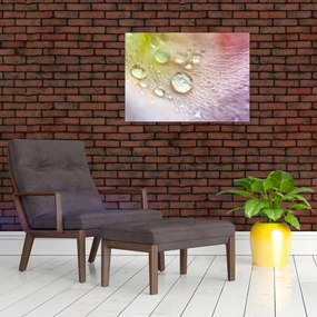 Tablou pe sticlă - Picături de rouă (70x50 cm)