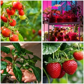 Lampadar LED dimabil pentru creșterea plantelor Brilagi VITABLOOM 4xLED/7,5W/230V