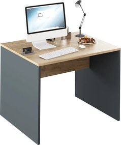 Masa birou RIOMA NEW TYP 12, gri grafit/stejar artisan, DTD laminat, 1