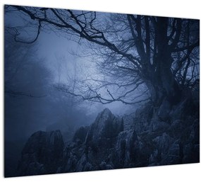 Tablou pe sticlă pădurii întunecate (70x50 cm)