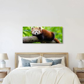 Tablou cu panda roșie (120x50 cm)