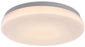 Rabalux 77133-LED Plafonieră LED pentru baie LOWAR LED/12W/230V IP44 3000/4000/6000K
