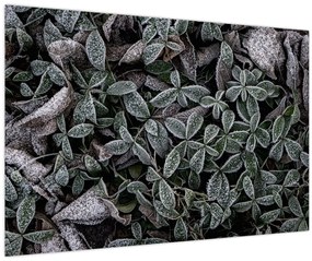 Tablou - Plante înghețate (90x60 cm)