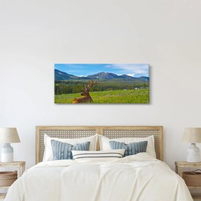 Tablou - Cerb în luncă (120x50 cm)
