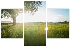 Tablou cu lunca în vară (90x60 cm)