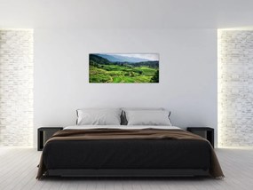 Tablou cu câmp de orez (120x50 cm)