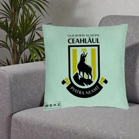 Perna Personalizata CSM Ceahlaul Piatra Neamt Fotbal, 40x40 cm, Verde Menta, Husa Detasabila, Perna Inclusa, BEKZ®