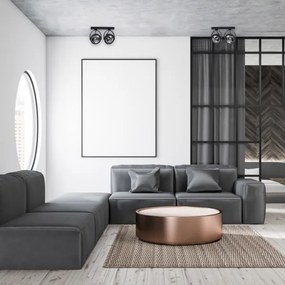 Spot LUGAR 2xAR111 - GU10/25W/230V