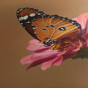 Tablou cu fluture pe floare (120x50 cm)