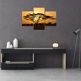 Tablou - Savana africană (90x60 cm)