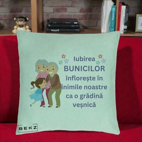 Cadou pentru Bunici - Perna Personalizata Bunicii Iubirea Infloreste Bunici cu Nepoata Colorat, 40x40 cm, Verde Menta, Husa Detasabila, Perna Inclusa, BEKZ®