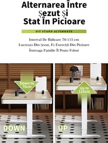 Birou Electric Reglabil pe Înălțime cu Sertar Ascuns, Încărcare Wireless & USB, Senzor de siguranță, 160x60, Alb