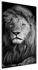 Tablou Printat Pe Sticlă Portret de un leu
