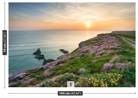 Fototapet Coasta de Cornwall