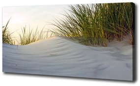Imprimare tablou canvas Dune de coastă