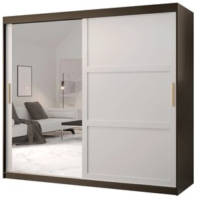 Dulap de haine Riven 2 200 (negru mat + alb mat) (cu oglindă). 1064183
