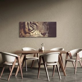 Tablou cu tigrul (120x50 cm)