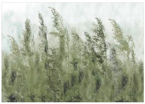 Fototapet - Tall Grasses - Green