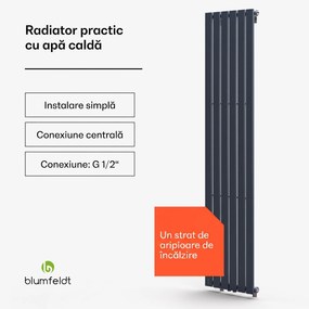 Blumfeldt Ontario, radiator, 180 x 45, racord lateral de 1/2", montare pe perete, 485 W