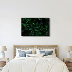 Tablou - Păpădii tropicale (90x60 cm)