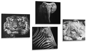 Set tablouri animale sălbatice în design alb-negru
